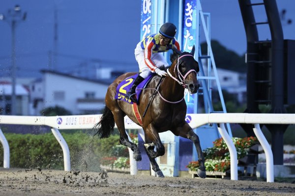 【かきつばた記念】60kgシャマルは2枠2番（競馬のおはなし） - Yahoo!ニュース