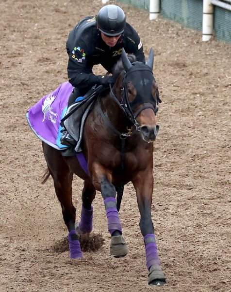 【かきつばた記念】根岸Ｓ３着のダノンフィーゴは７枠１０番　岩田望来騎手と初コンビのシャマルは２枠２番　枠順確定（スポーツ報知）｜ｄメニューニュース