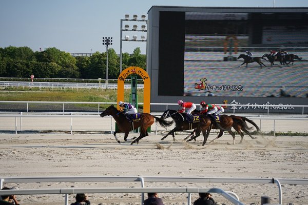 かきつばた記念