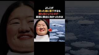 よしこが凍った湖に落下したのにスタッフが誰も助けようとせず…　#感動する話 #よしこ #イッテQ #ちゃんみな
