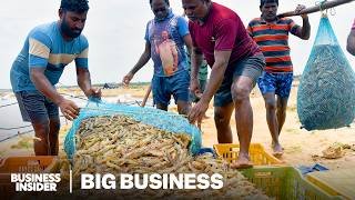 How India Took Over America’s Shrimp Supply | Big Business | Business Insider