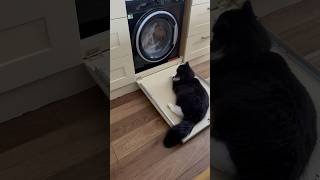 What’s on tv tonight?