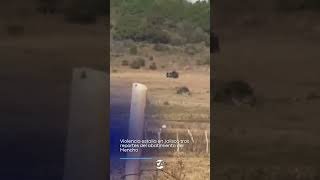 🚨 Presuntos integrantes del CJNG habrían desatado una violenta reacción tras abatimiento de su líder