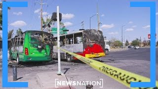 Nonprofit helps rescue Americans stranded in Mexico | Morning in America