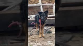 what specie😲🙀🙀🙀