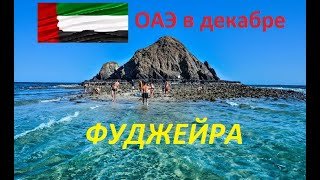ОАЭ в декабре. Фуджейра.