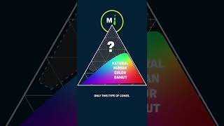 5 People Just Saw A New Color. How?