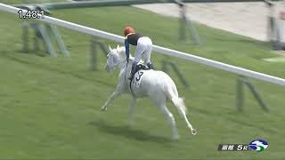 マルガ (ソダシの半妹)  2歳新馬  2025/7/12 函館1800m レコード勝ち