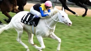 【白毛】の【マルガ】武豊騎乗で追い込むが惜しくも3着 現地映像 レコード勝利‼