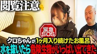 【閲覧注意】風呂の水抜いたら危険生物が大量発生
