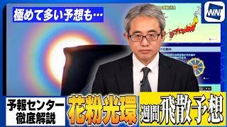 「花粉光環」の仕組みと飛散予報（週末は極めて多い予想も）