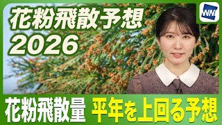 【2026年花粉予想】秋田は6倍!? 全国的に平年を上回る予想