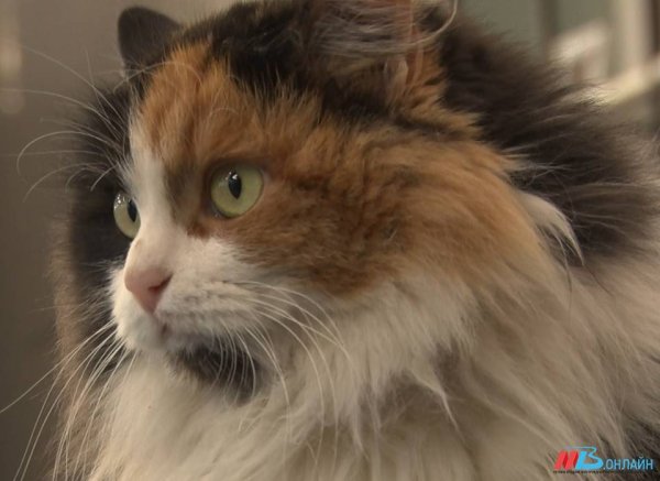 Народные приметы: что можно и нельзя делать 6 марта