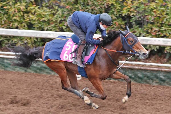 【フィリーズレビュー・特捜班の密着予想】快速牝馬コラルリーフが挑む〝1ハロンの壁〟　着実な進化で一変も！（東スポ競馬） - Yahoo!ニュース