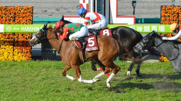 フィリーズレビュー