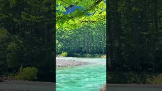 死ぬまでに行きたい絶景スポット3選【長野県編】#長野県 #長野 #国内旅行 #旅行 #観光 #絶景 #自然 #travel