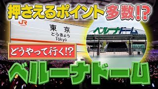 【ベルーナドーム】都内からのシンプルな行き方【遠征民向け】周辺情報もご紹介！