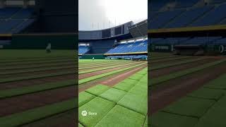 もしも埼玉ベルーナドームが屋外野球場になったら！？西武ファンが満員で歓喜！