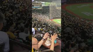 平日のベルーナドーム1塁側を埋める阪神ファン #阪神タイガース #阪神ファン