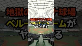 地獄のサウナ球場ベルーナドームがヤバすぎる#プロ野球 #野球雑学