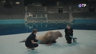 Закулисье -- Москвариум