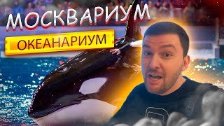 Москвариум 2025! Обзор. Лучший Океанариум! Развлечения в МОСКВЕ! Что посмотреть?ВДНХ, АКУЛЫ, КОСАТКА