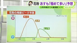 花粉の飛散ピークへ　あす金曜も「極めて多い」予想　【静岡・ただいま天気　2/26】