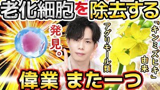 【偉業、また1つ】FANCLも“老化細胞を除去する”成分を発見！エイジングケア新時代の幕開け『キンミズヒキ由来アグリモール類』とは