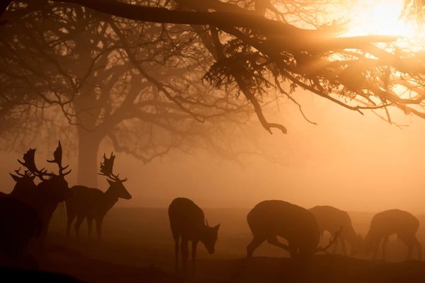 When will cold weather hit the UK and is snow forecast?
