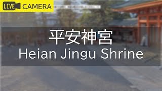 【LIVE】京都 平安神宮ライブ中継カメラ／Heian Jingu Shrine, Kyoto Live camera