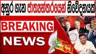 අනුර ගැන ජාත්‍යන්තරයෙන් නිවේදනයක් BREAKING NEWS |Channel 4