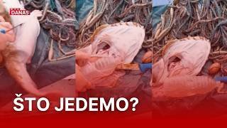 Boca pronađena u grdobini otvorila važno pitanje | RTL Danas