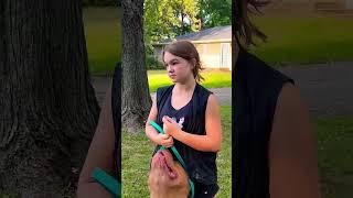 This Breed is BANnED!! 😡 #dogbreed #pitbull #short