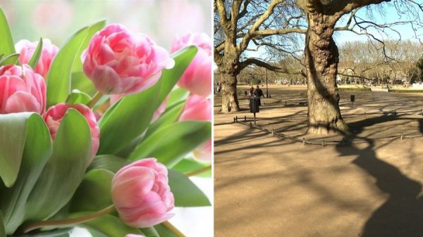 8 marca - Dzień Kobiet. Piękna pogoda, warto wybrać się na spacer