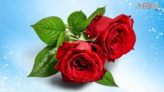 Dzień Kobiet - Ona - wzruszające życzenia 