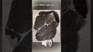 Écoutez ! C'est le bruit d'une météorite qui tombe (FRIPON/Vigie Ciel)