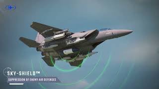 SKY SHIELD™ - Airborne Electronic Warfare
