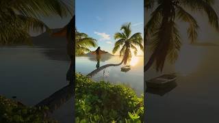 Places in Seychelles that don’t feel real 🇸🇨🤯 #travel #adventure #explore #nature #seychelles