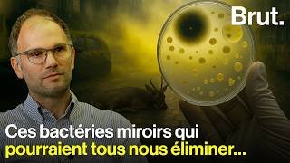 Manipulations génétiques, virus créés par l’IA, bactéries miroirs : quelles limites à la recherche ?