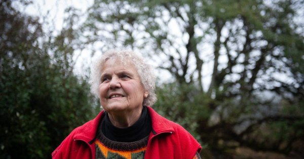 "Lulu du Morvan" : l'amour de la forêt en héritage - ICI