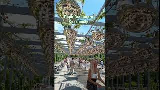 Краснодар, парк Галицкого #travel #travelvlog #nature #путешествия #отдых #turismo #краснодар
