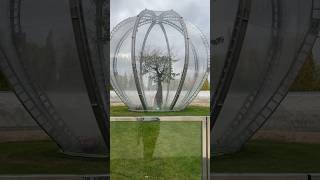 Один из самых красивых парков России: Парк Галицкого, Краснодар #путешествия