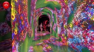 🙀В Парке Облаков Парка Галицкого новая локация. Кроличья нора .