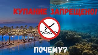 Почему нельзя купаться в Красном море ночью и после заката солнца в бассейне. Опасный Египет