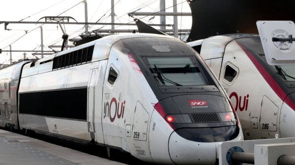 SNCF : la ligne Sud-Est très perturbée, plus de deux heures de retard pour certains TGV vers Paris