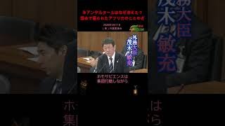 【ネアンデルタールはなぜ消えた/高市内閣:茂木敏充】2026年3月11日（衆）外務委員会　　　　　#佐々木真琴#防災外交#突然人類史#ホモサピエンス#国会#外交官制度#アフリカ#外務大臣