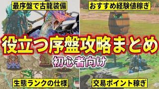 【モンハンストーリーズ3】発売直前！これだけは教えたい『序盤攻略まとめ』紹介します！！！(最強装備/経験値稼ぎ/交易ポイント稼ぎ/里孵し/バトルメンバー etc)