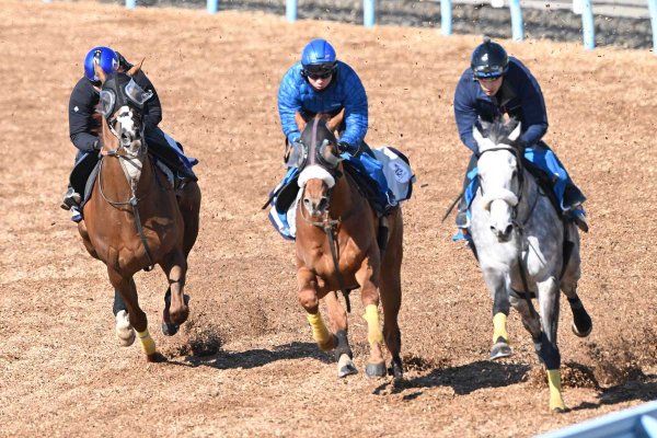 【金鯱賞・生情報】アーバンシックが坂路で異例の11・6秒　武井亮調教師が明かす金曜調整の意図