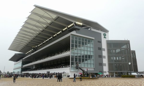 中京競馬場
