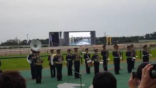 中京競馬　G1ファンファーレ(2016チャンピオンズカップ)